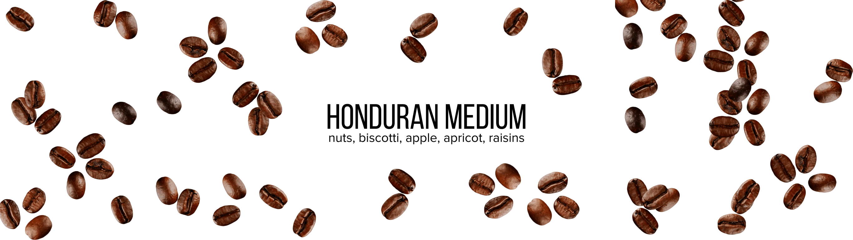 Honduran Medium Coffee Subscription Header